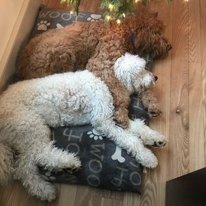 Meet your Posher, Martha